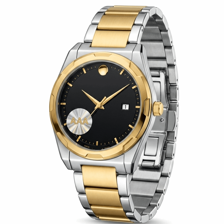 Two-tone men's stainless watch, black dial with gold accents, link bracelet